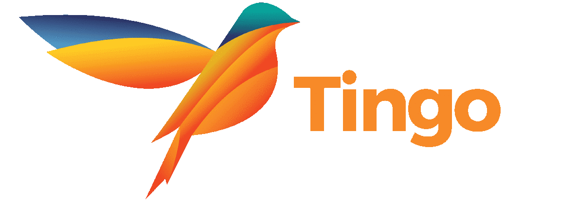 Tingo Int. Holdings