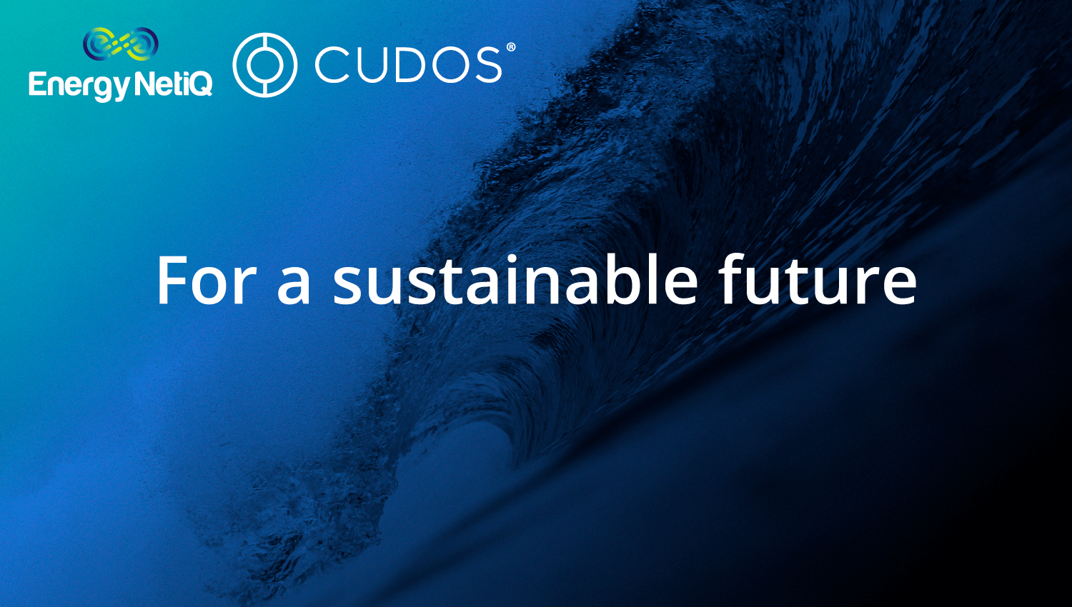 EnergyNetiQ envisions water as fuel aiming to scale with Cudos